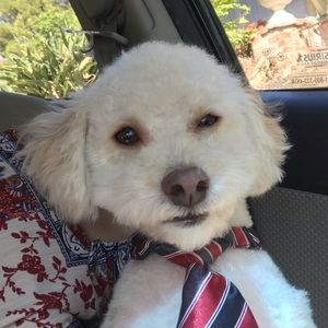 Meet your Posher, Kellie